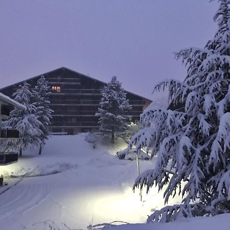 شقة Auron Montain View المظهر الخارجي الصورة